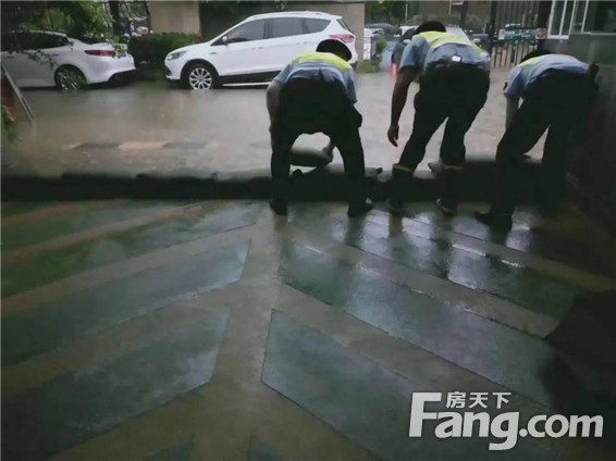 暴雨物业情|即使暴雨倾城，建业物业也会为你撑起一片晴空