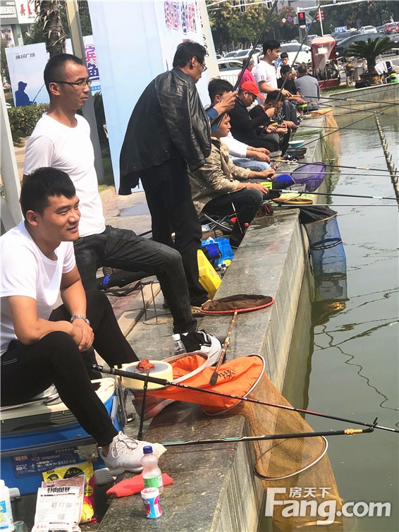 千斤鲜鱼、真人娃娃机、萌情多肉...华驰·缤纷广场承包你的“双节同庆”