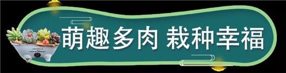 精彩不歇，欢乐不停|大型钓鱼现场、真人抓娃娃，趣味手工，你确定不来？