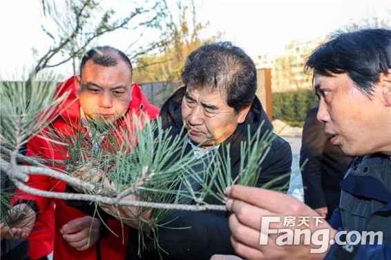 真是好！商丘要是有这么好的小区，借钱贷款也得买！