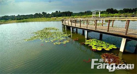 “夏邑的郑东新区”崛起在即，谁将扛鼎城市居住理想？